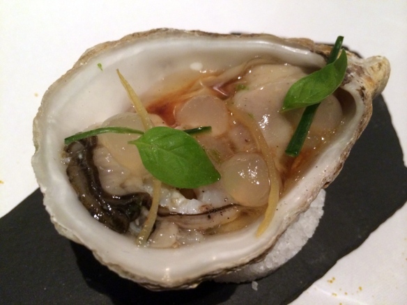 Oyster 