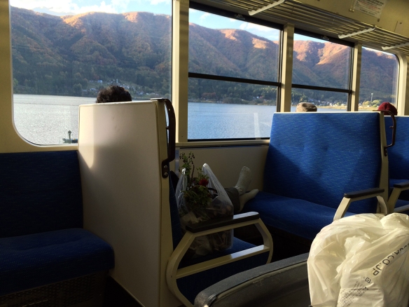 Views from the train to Hakuba